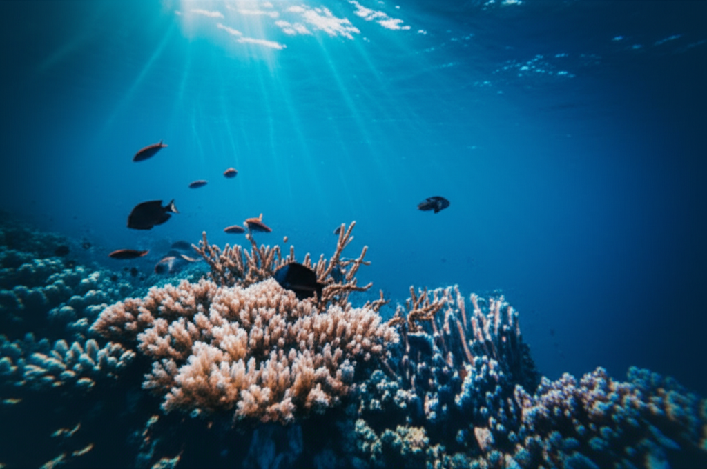 Underwater photo with blue color cast